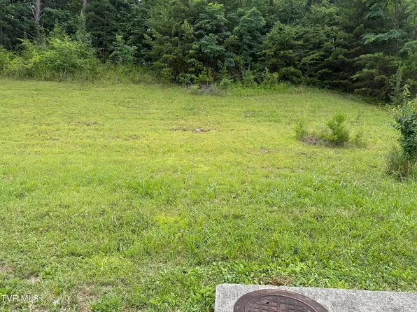 142 Brighton Pl, Bristol, TN 37620
