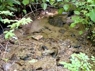 9999 Sovereign Ln #14, Fairview, NC 28730