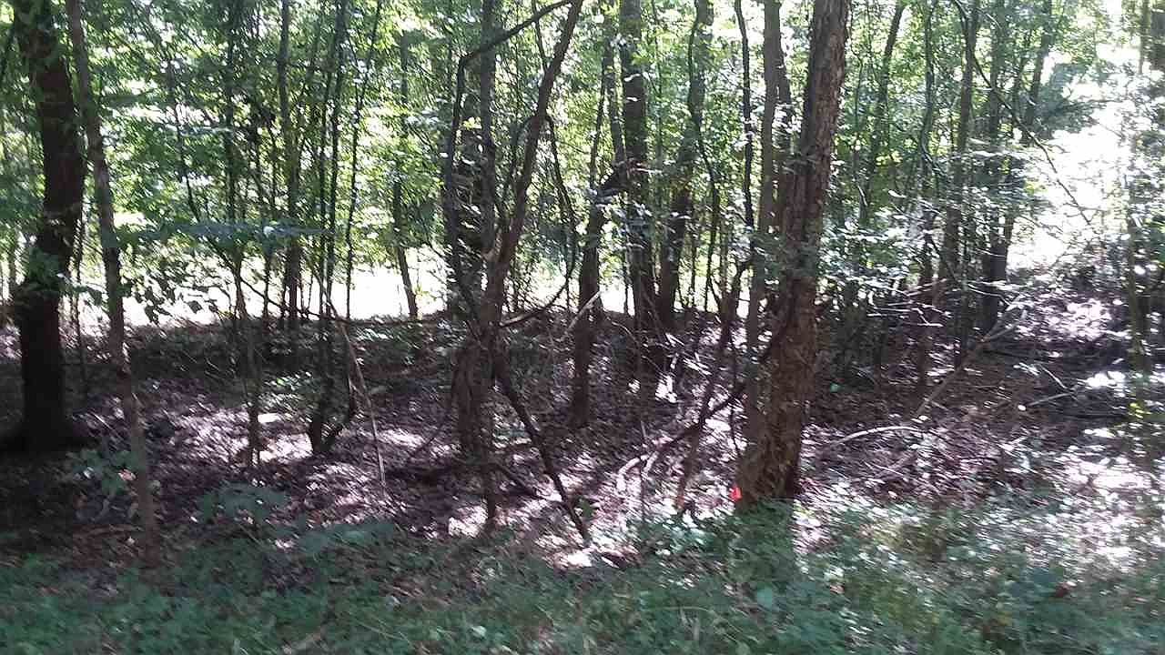Old Coffeeville Rd 729 Lone Star Tx 75668 Mls 20205489 Zillow