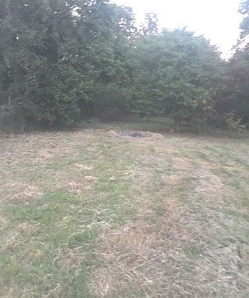 5th image of 916 Aganier Ave