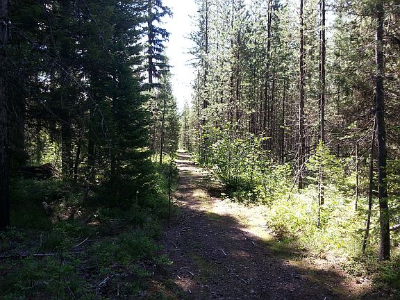 4th image of 14314 Us Highway 2 E