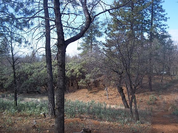 5th image of Seaman Gulch Apn #97-120-013