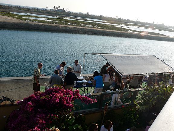 Brookhurst Marsh from deck