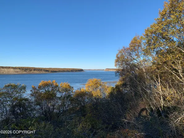 L11 B11 Caribou Cir, Naknek, AK 99633