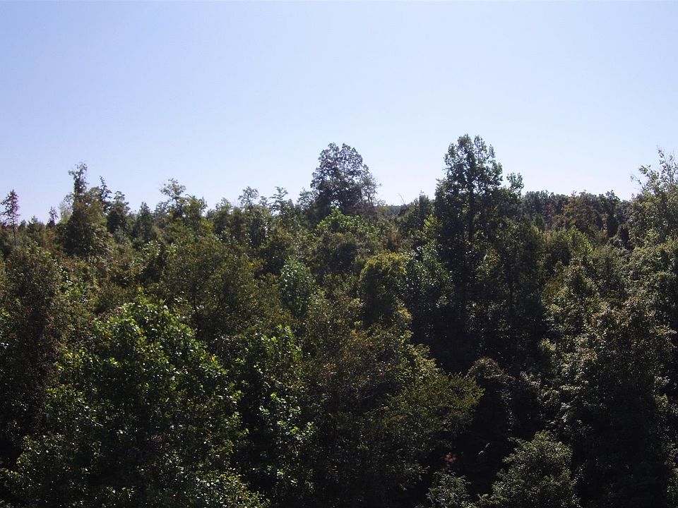 2nd image of 583 Furnace Hollow Rd