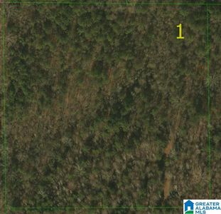 0 Highway 61 #1, Wilsonville, AL, 35186