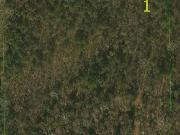 0 Highway 61 #1, Wilsonville, AL 35186