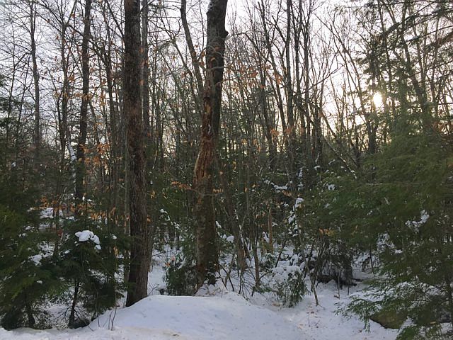 2nd image of Lot 175 Elaine Road