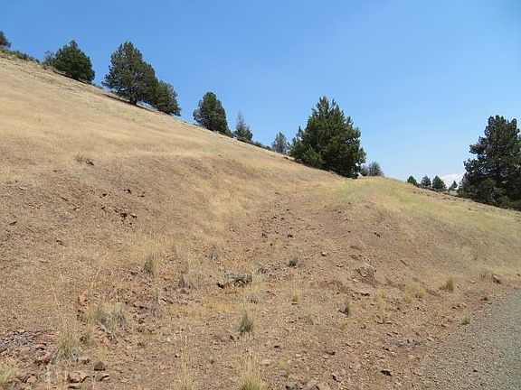4th image of LOT 527 Blue Gill Dr