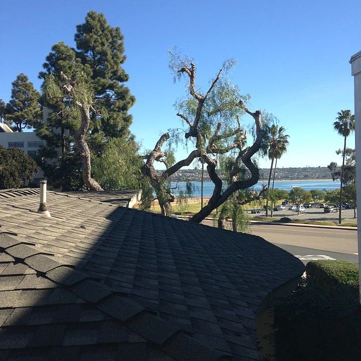 View from All Rooms