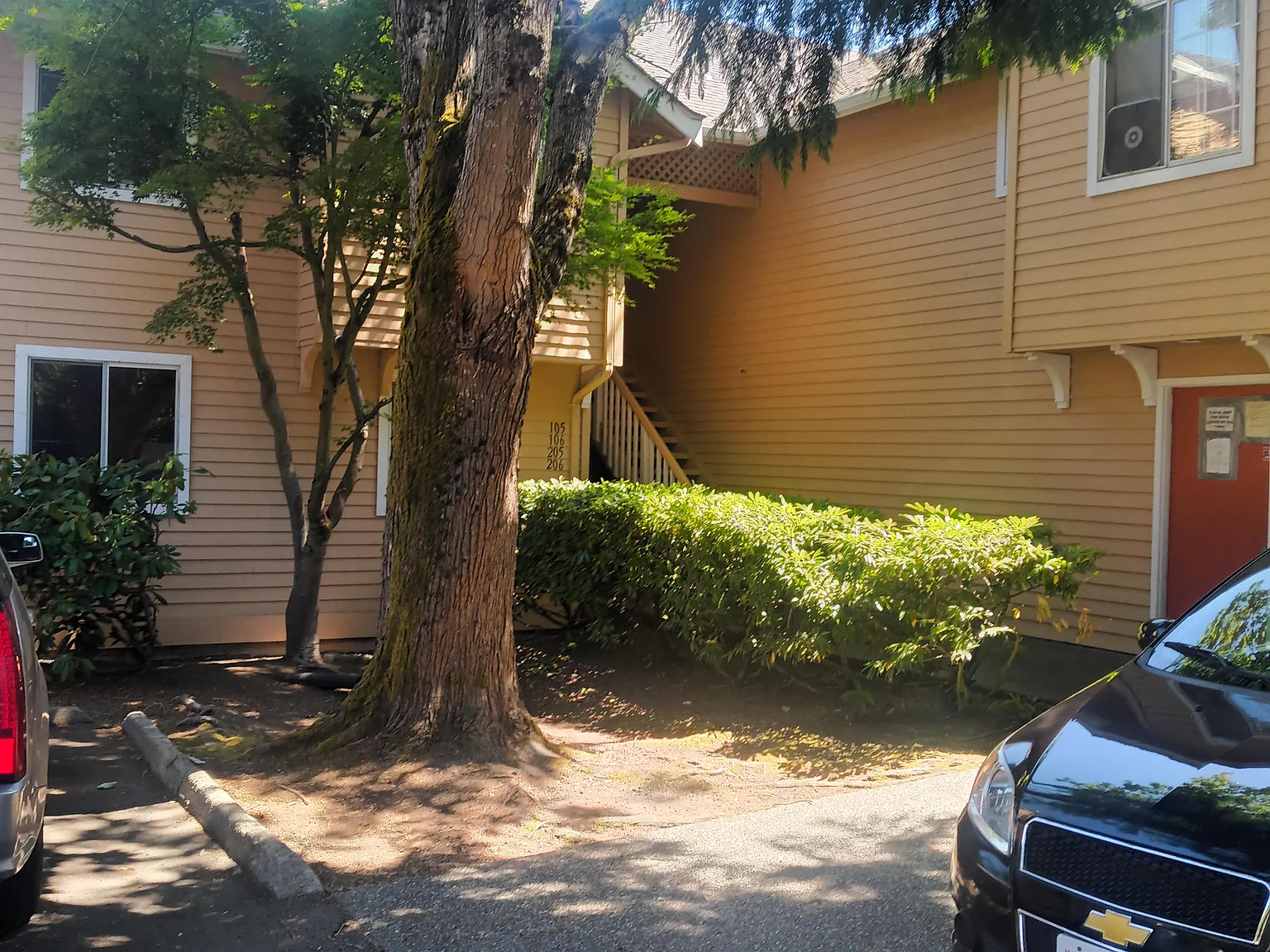 1 bed, 600 sqft, $1,295 — Photo 1
