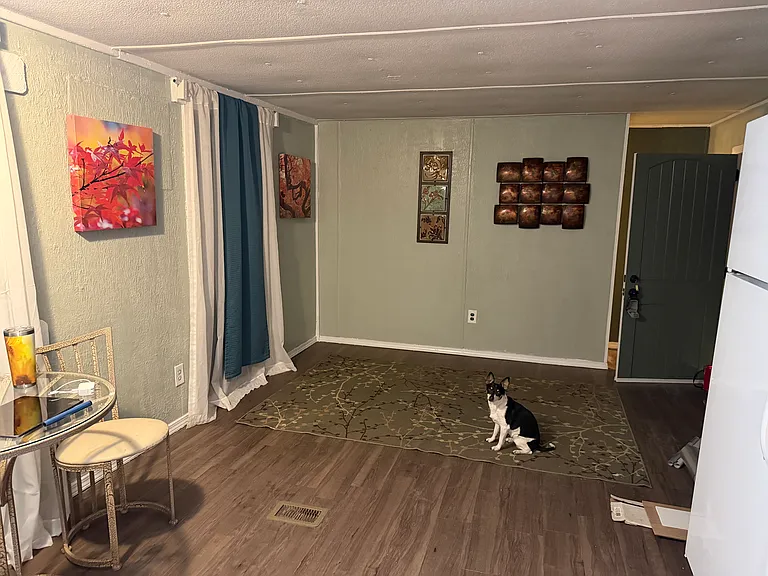 Wall art only show
