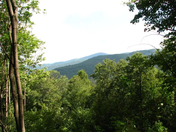 Tbd Rustic Log Cabin Ln, Roan Mountain, TN 37687