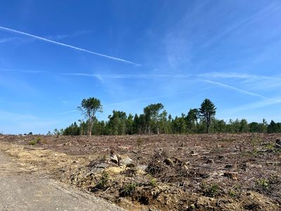 Lot 2-1 Merrill Road, Levant, ME, 04456