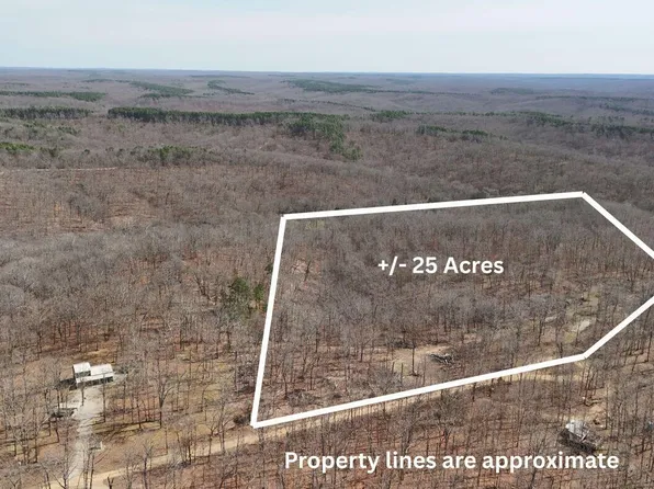 571 Private Lane 405, Salem, MO 65560