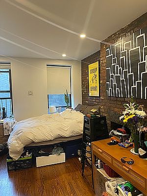 2nd image of 203 Chrystie St #3C4