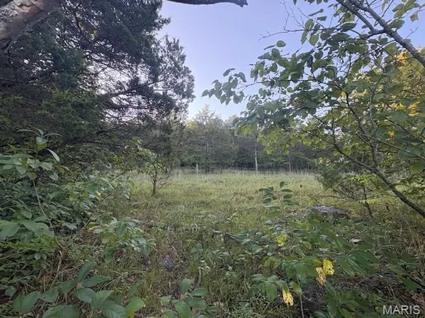 10068 Waterford Dr, Hillsboro, MO 63050