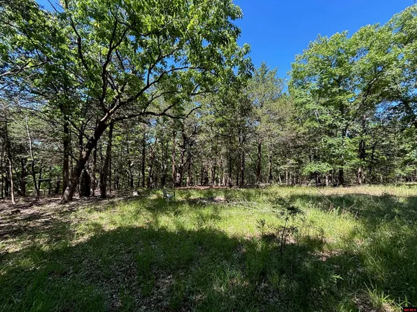 1 4th Ml #131, Oakland, AR 72661