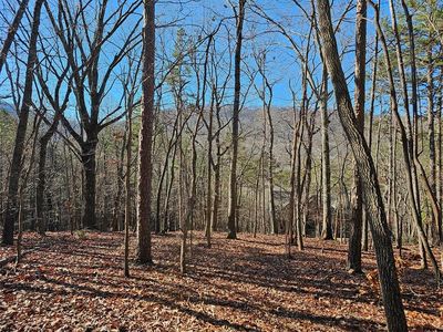 383 Teaberry, Jasper, GA, 30143