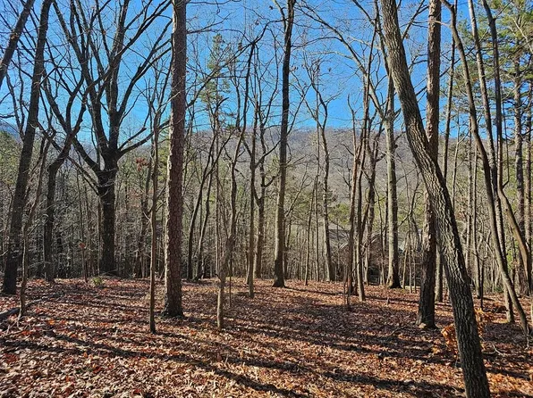 383 Teaberry, Jasper, GA 30143