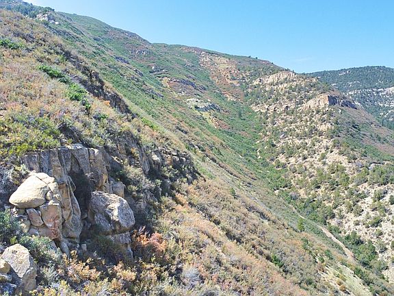 3rd image of Douglas Pass Rd