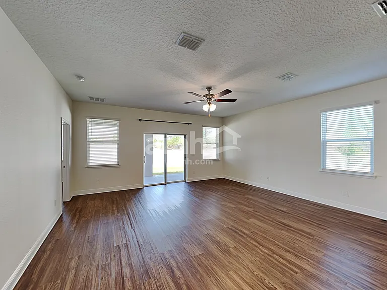 1306 Celery Palm Cv — Photo 7