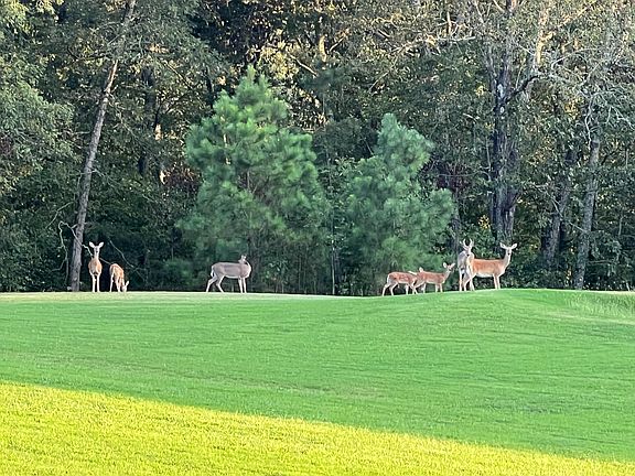 15th image of this home