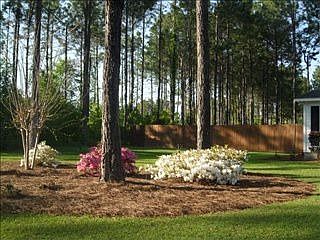 5th image of 4601 Oxbottom Dr