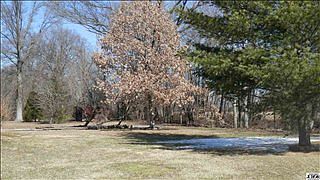 2nd image of 10976 E County Road 500 S