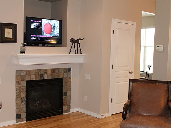 LR Fireplace