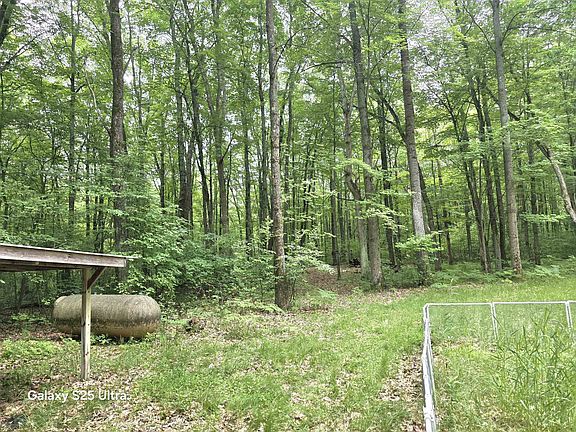 3rd image of 10135 Woods Rd