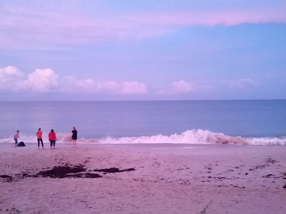 The beach
