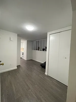 Rented by Voro NYC | media 13