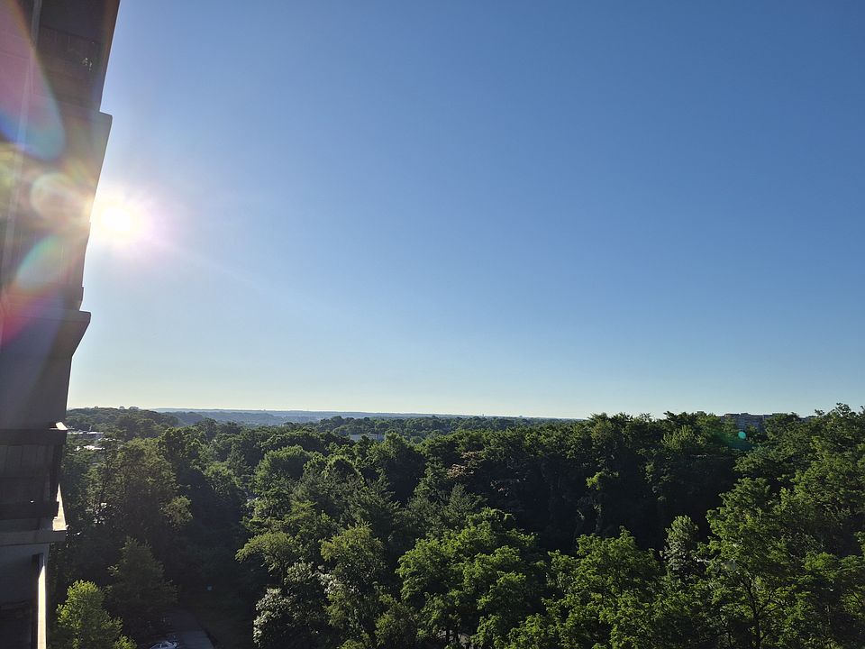 1st image of 3705 S George Mason Dr APT 709S