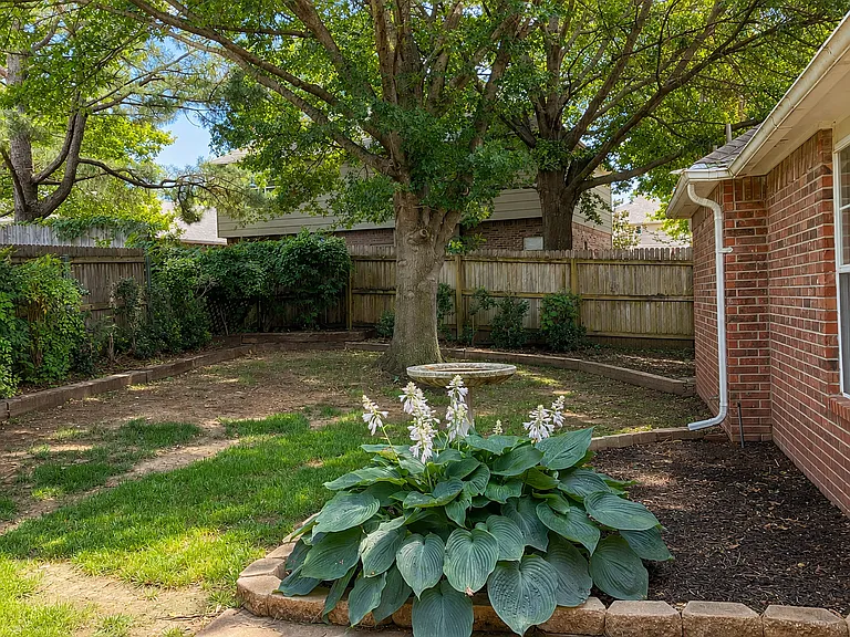 back yard
