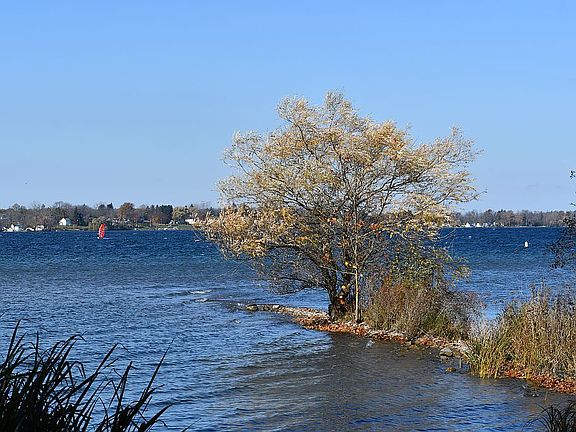 3rd image of 151 Burtis Point Rd