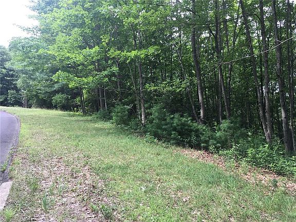 4th image of 3-LOT Pinnacle Mountain Road