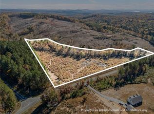 1095 Alleghany Church Rd, Denton, NC 27239