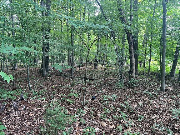 4th image of 1 Deer Run Trl