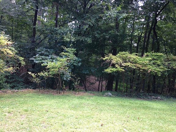 Wooded Lot : Very private yard so close to downtown. Blueberry bushes, hardwoods, spring.
