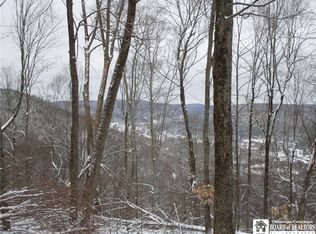 0 Green Rd, Bolivar, NY 14715