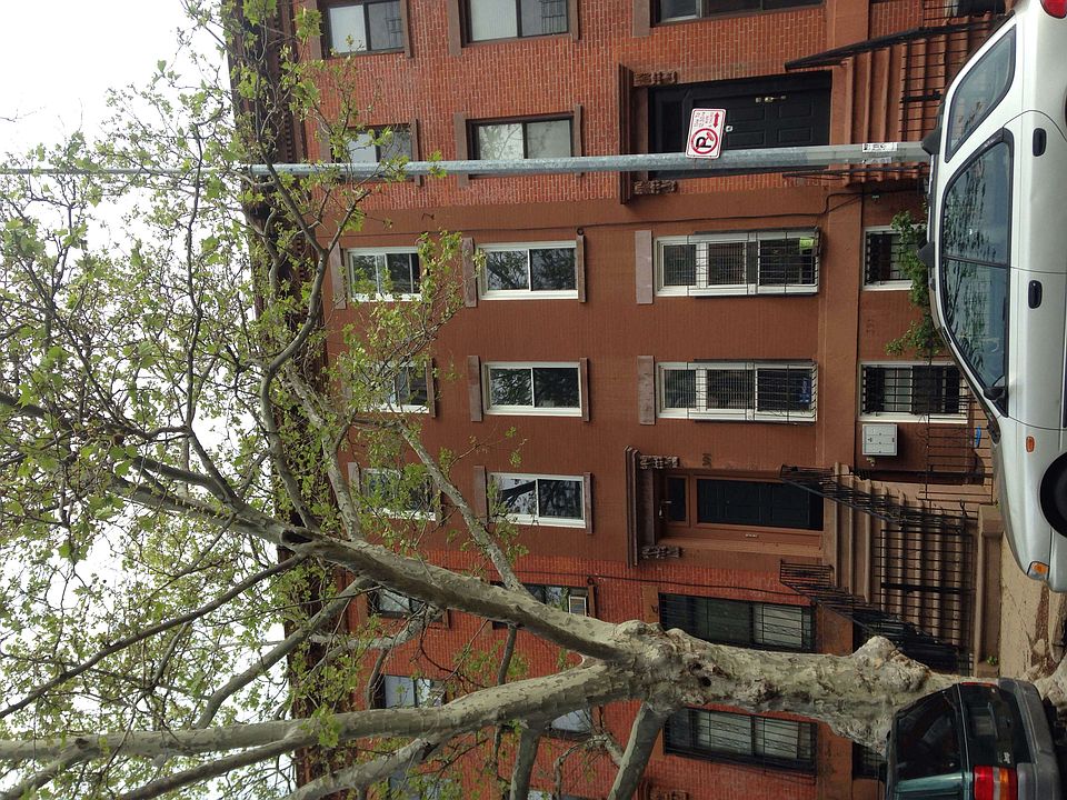 1st image of 391 Putnam Ave APT 3