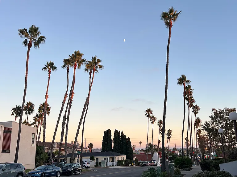 Nightly view on Lamont St. Can you imagine living here?