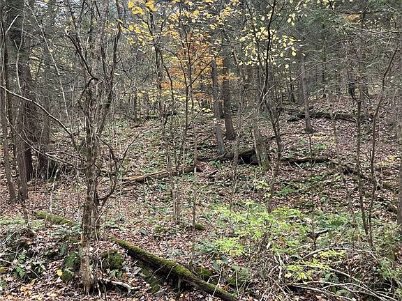 4th image of 0 Parker Rd