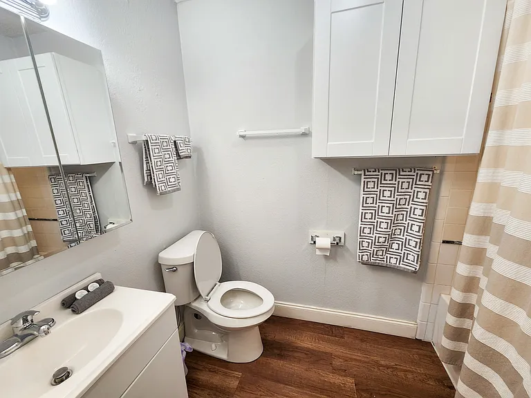 Master bathroom