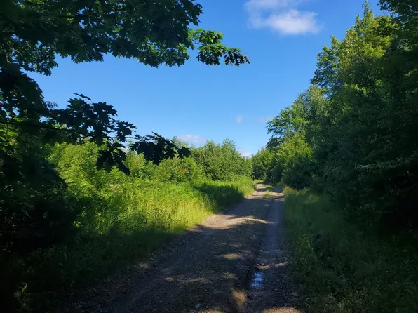 24.3 Ac Ryan Road, Baileyville, ME 04694