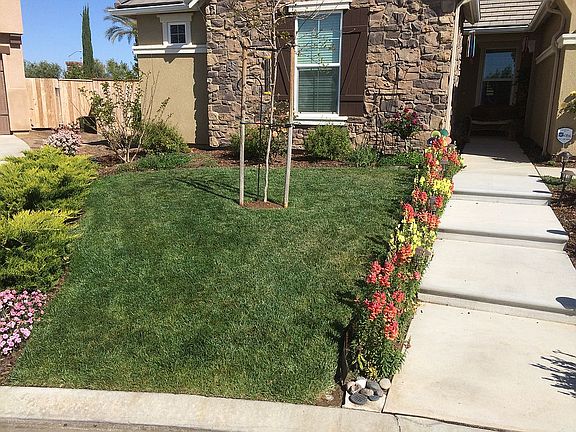 Front of house; early spring