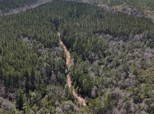 Bilbo Rd LOT WP001, Vancleave, MS 39565