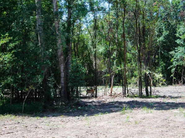 15/ACRE S Greenbriar Rd, Madisonville, TX 77864