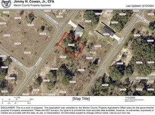 Guava Ter LOT 7, Ocklawaha, FL 32179